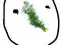 Koper face
