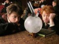 Harry pothead 