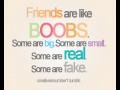Friends