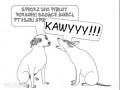 Kaaawyy