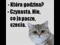 Która godzina