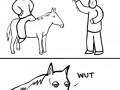 High horse