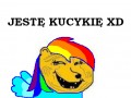 Kucykełe xd