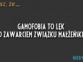 Gamofobia