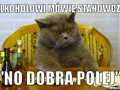 No dobra