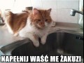 Napełnij waść me dżakuzi