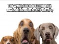 Nie pije