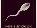 Old pic