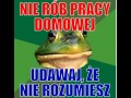Nie rob pracy domowej udawaj ze nie rozumiesz