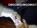 Omgomgomgom