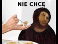 Nie chce