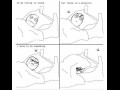Le mosquito