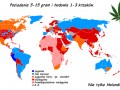 Nie tylko holandia