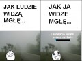 Mgła