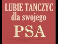 Lubię tańczyć dla swojego psa
