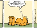 Lenistwo z klasą