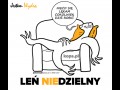 Leń niedzielny