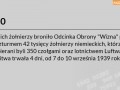 Obrona wizny