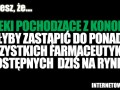 Leki z konopi