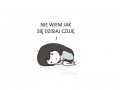 Nie wiem