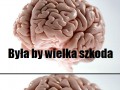 Szkoda by było  mózg