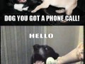 Psi telefon