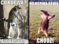 Taki cwany byłeś