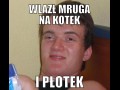 Wlazł kotek