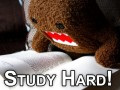 Study hard
