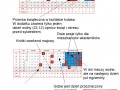 Studia kalendarz pwr wolne zajęcia