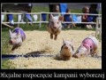Start kampanii wyborczej