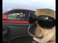 They see me rollin