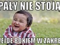 Pały nie stoją