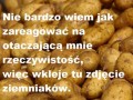 Reakcja na swiat