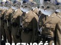 Pacznosc