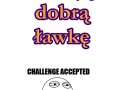 Zajac dobra lawke