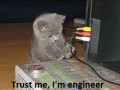 Trust me i39m engineer