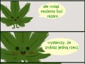 Smokeweed
