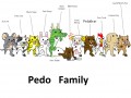 Pedo family