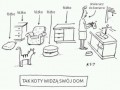 Tak koty widza twoj dom