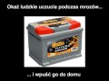 Wpusc go do domu