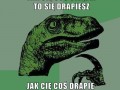 Pytania dajnazaur39a