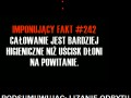 Podsumowanie imponujących faktów
