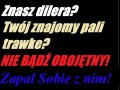 Trawka