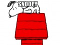 Snoopy  najstarszy planker