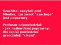 Szachuje