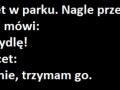 Spokojnie