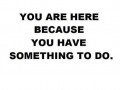 You are here