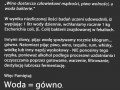 Wódka