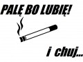 Palę bo lubię